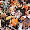 City Diverted 2,500 Tons Of Food From Landfills Over 6 Months